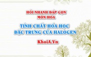 Tính chất hóa học đặc trưng của Halogen (các đơn chất halogen) là gì? Hỏi nhanh đáp gọn môn Hóa